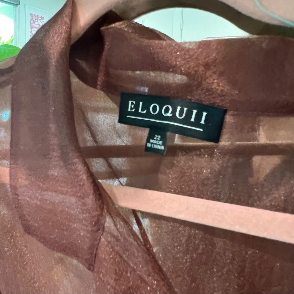 Brown sheer button up top - Picture 5 of 6